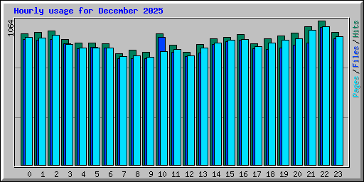 Hourly usage for December 2025